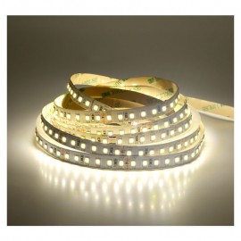 Ruban LED blanc 12V 12W/m