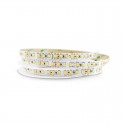 Ruban LED blanc 12V 12W/m