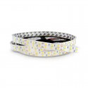 Ruban LED blanc 12V 12W/m double ligne