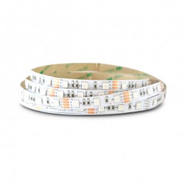 Ruban LED RVB + Blanc 12V 9W/m