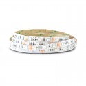 Ruban LED RVB + Blanc 12V 9W/m