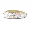 Ruban LED RVB + Blanc 12V 9W/m