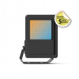 Projecteur LED100W CCT - IP65