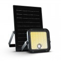 Projecteur Solaire LED 10W + Détecteur IR