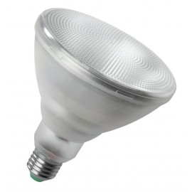 PAR38 LED 16W E27 45° IP65