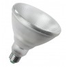 PAR38 LED 15W E27 38° IP65